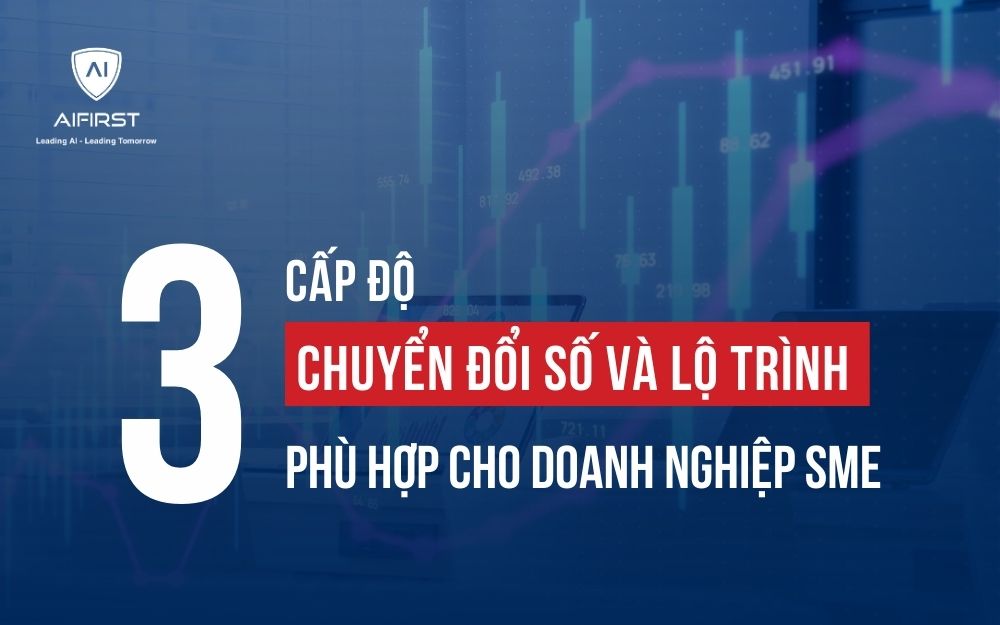 3 CẤP ĐỘ CHUYỂN ĐỔI SỐ VÀ LỘ TRÌNH PHÙ HỢP CHO DOANH NGHIỆP SME