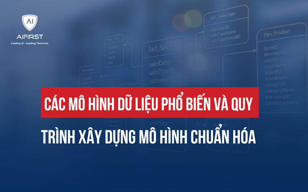 CÁC MÔ HÌNH DỮ LIỆU PHỔ BIẾN VÀ QUY TRÌNH XÂY DỰNG MÔ HÌNH CHUẨN HÓA