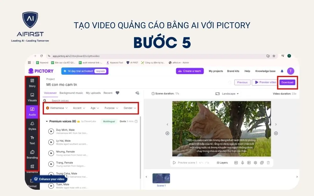 Tùy chỉnh và tải về video