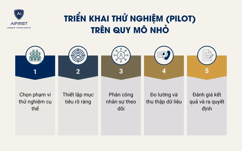 Triển khai thử nghiệm (pilot) trên quy mô nhỏ