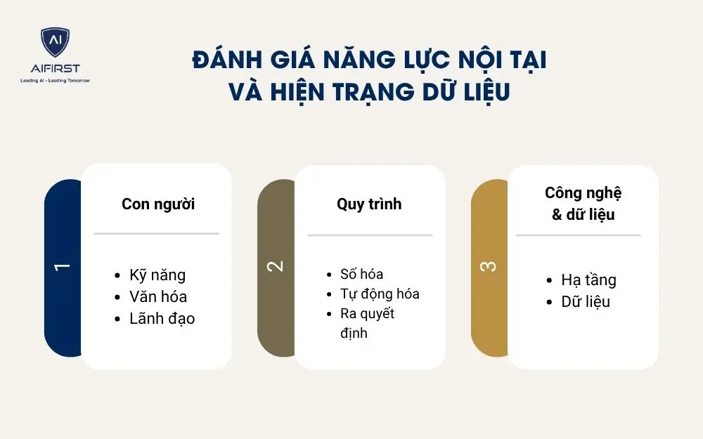 Đánh giá năng lực nội tại và hiện trạng dữ liệu