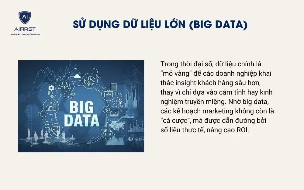 Sử dụng dữ liệu lớn (Big data)