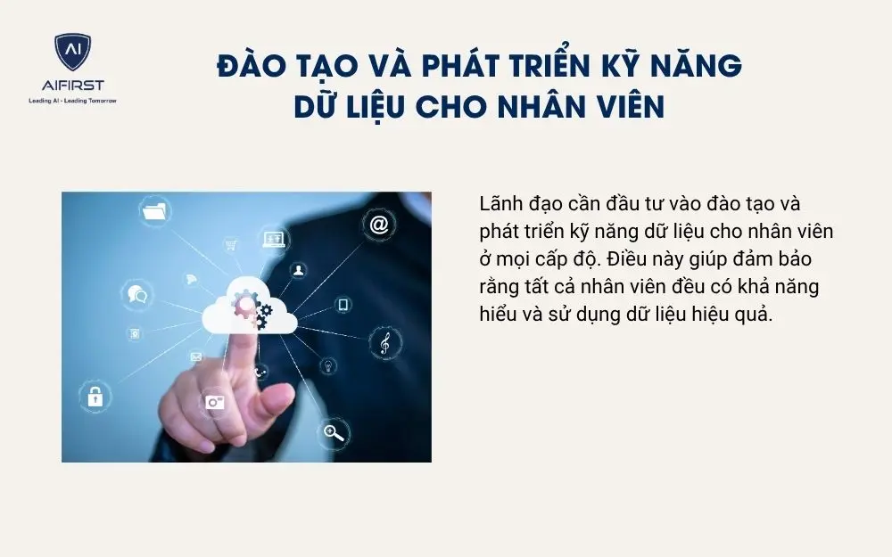 Đào tạo và phát triển kỹ năng dữ liệu cho nhân viên