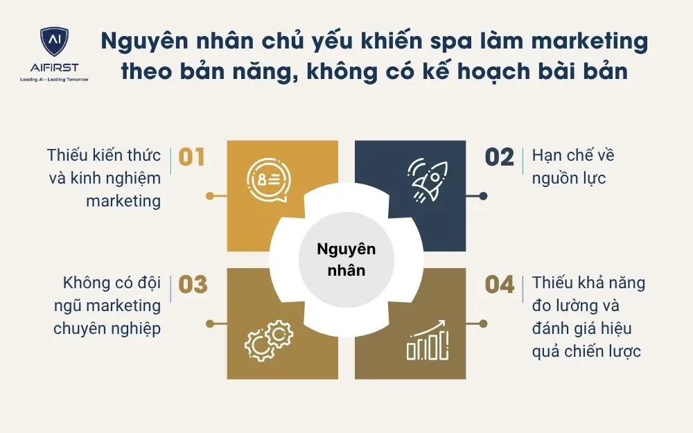Nguyên nhân chủ yếu khiến spa làm marketing theo bản năng, không có kế hoạch bài bản
