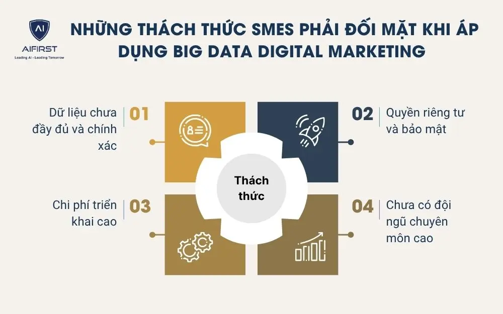 Những thách thức SMEs phải đối mặt khi áp dụng big data digital marketing