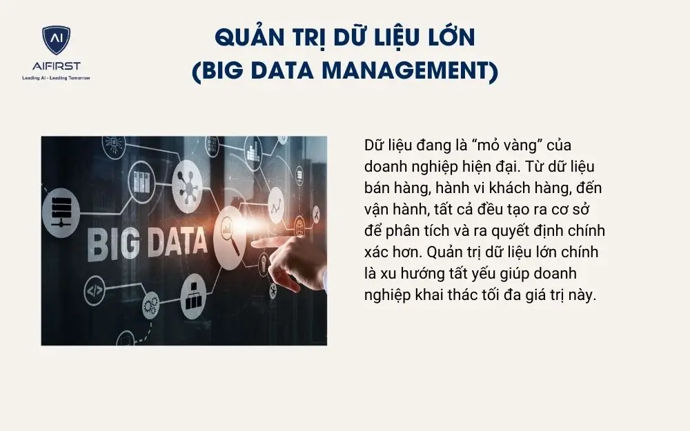 Quản trị dữ liệu lớn (Big Data Management)