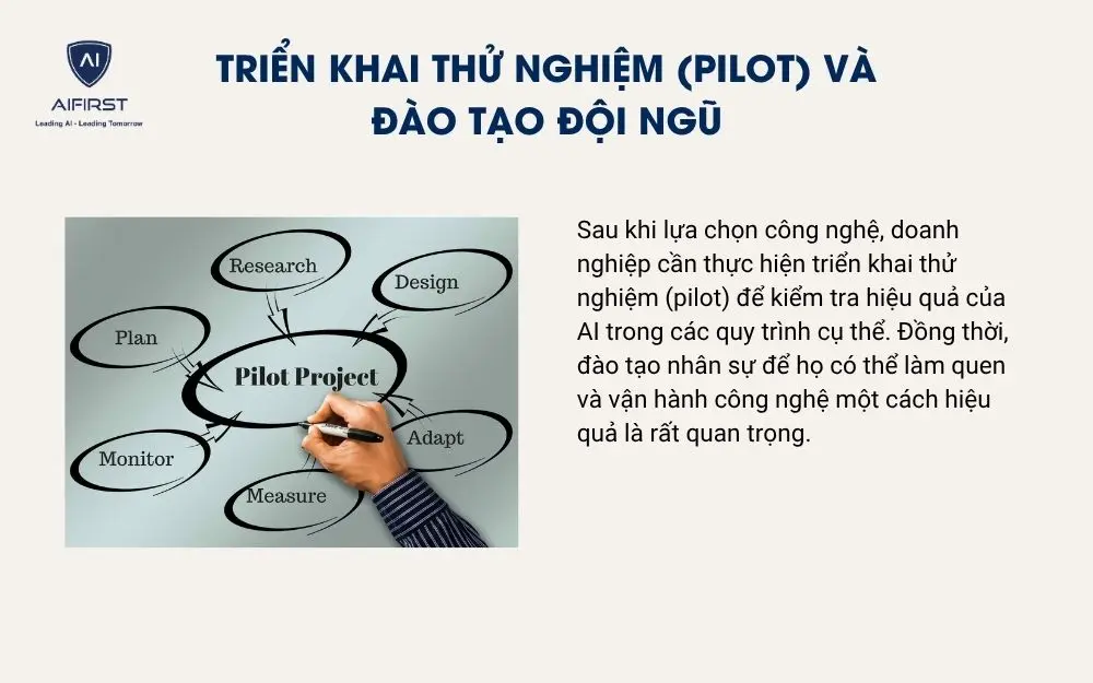 Triển khai thử nghiệm (pilot) và đào tạo đội ngũ