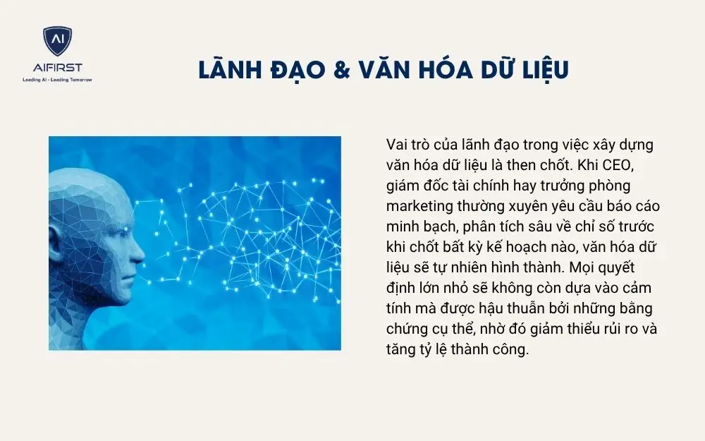 Lãnh đạo & văn hóa dữ liệu