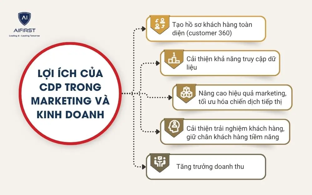 Lợi ích của CDP trong marketing và kinh doanh