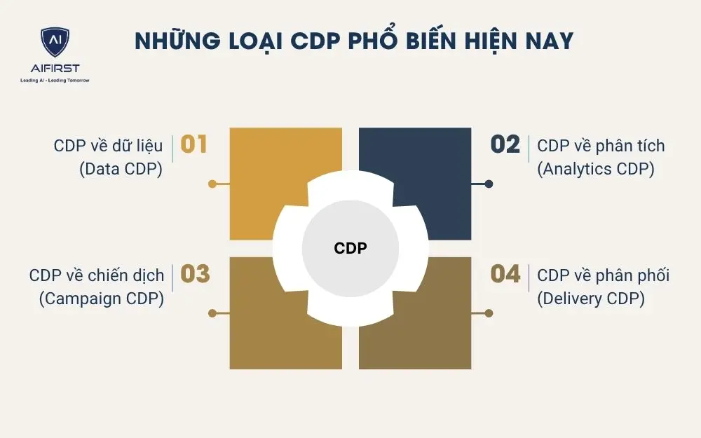 Những loại CDP phổ biến hiện nay