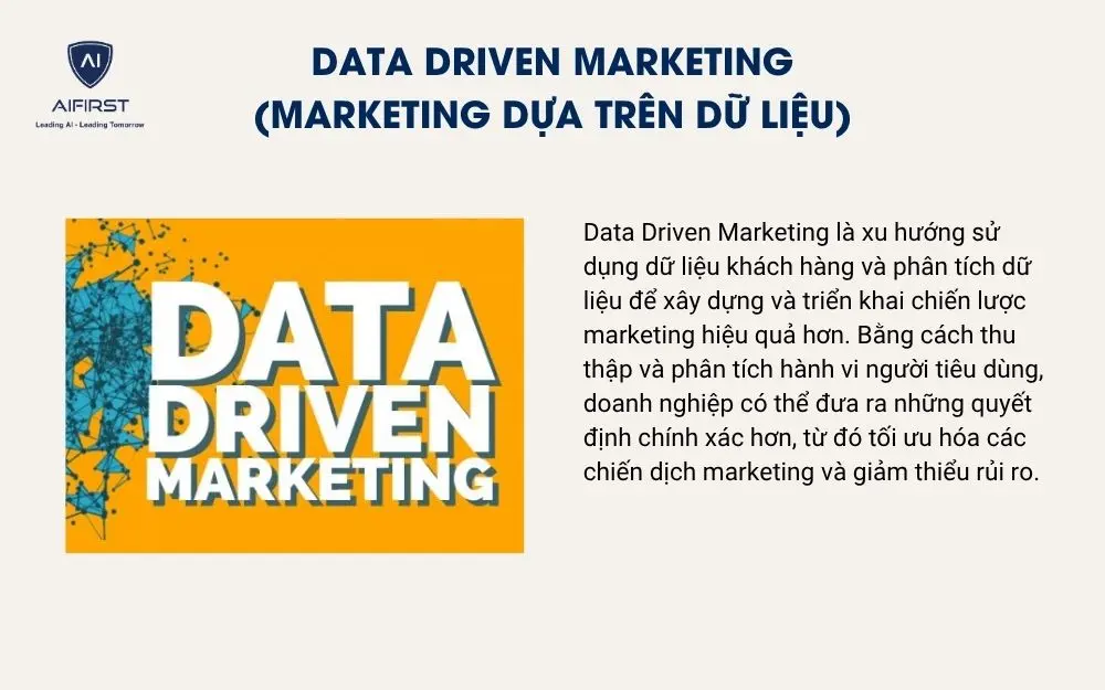 Data Driven Marketing (Marketing dựa trên dữ liệu)