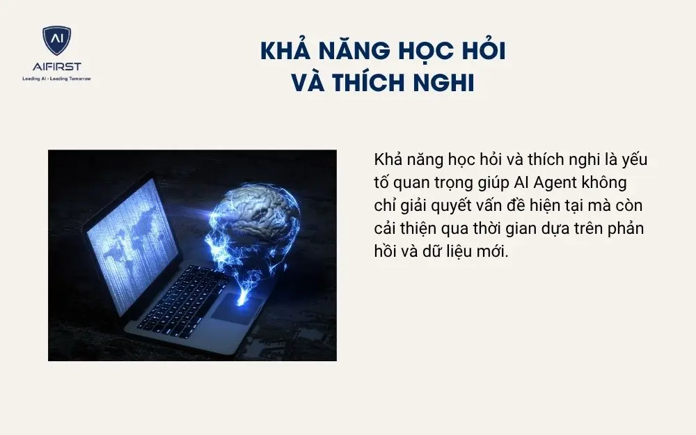 Khả năng học hỏi và thích nghi