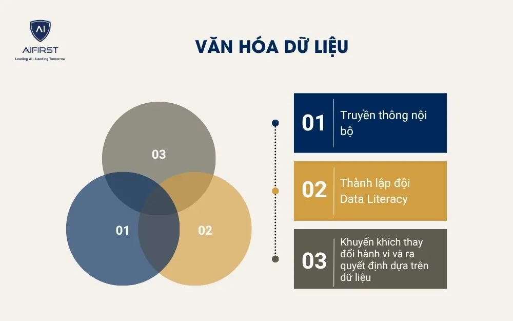 Văn hóa dữ liệu