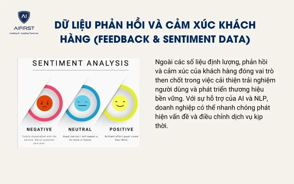Dữ liệu phản hồi và cảm xúc khách hàng (Feedback & Sentiment Data)