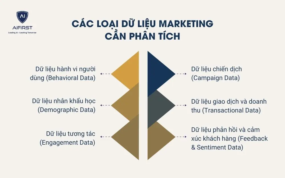Các loại dữ liệu marketing cần phân tích