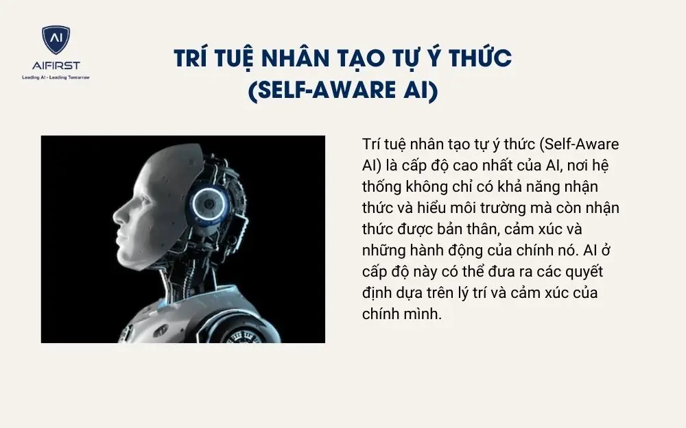 Trí tuệ nhân tạo tự ý thức (Self-Aware AI)