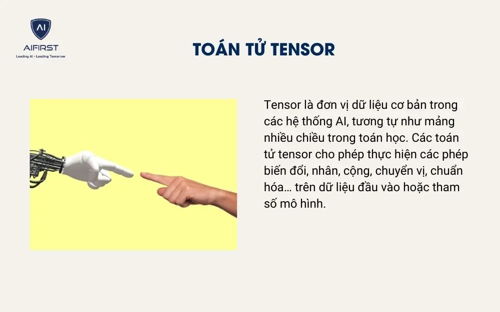Toán tử Tensor