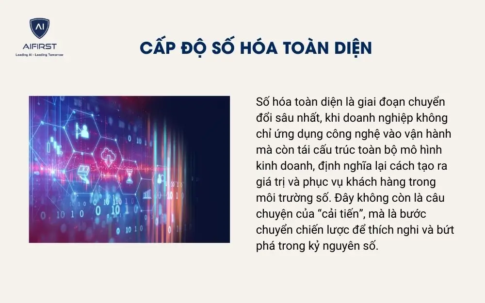 Cấp độ số hóa toàn diện