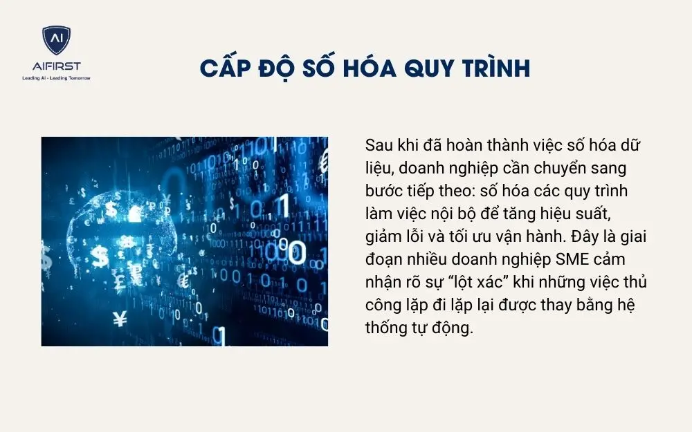 Cấp độ số hóa quy trình