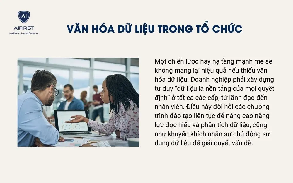 Văn hóa dữ liệu trong tổ chức