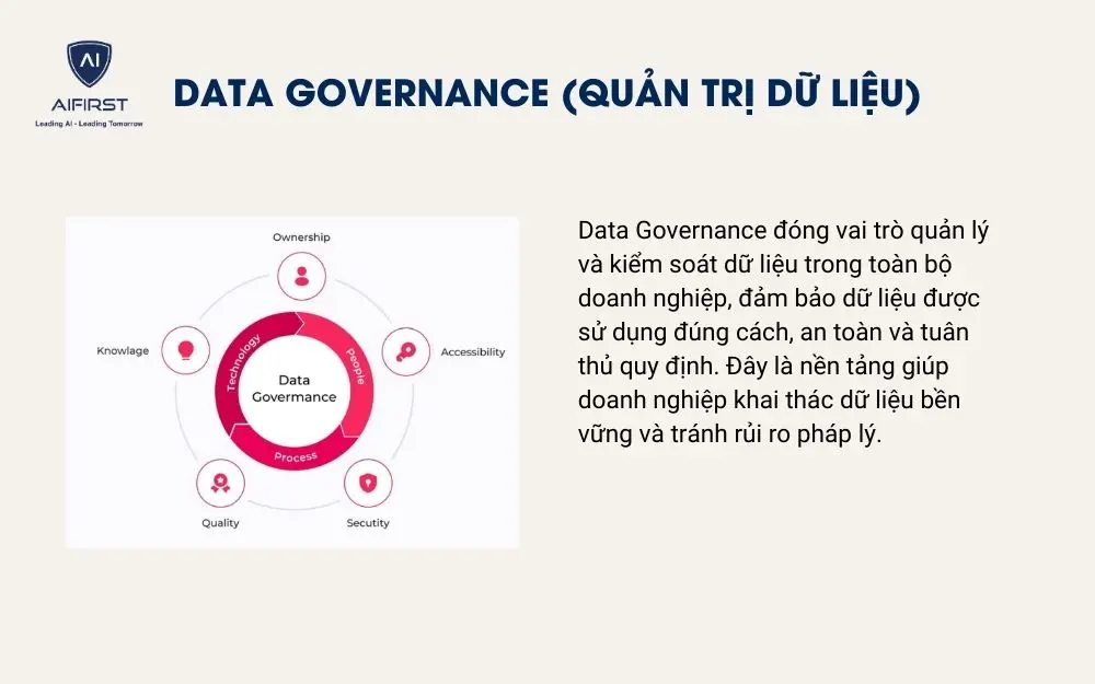 Data Governance (Quản trị dữ liệu)