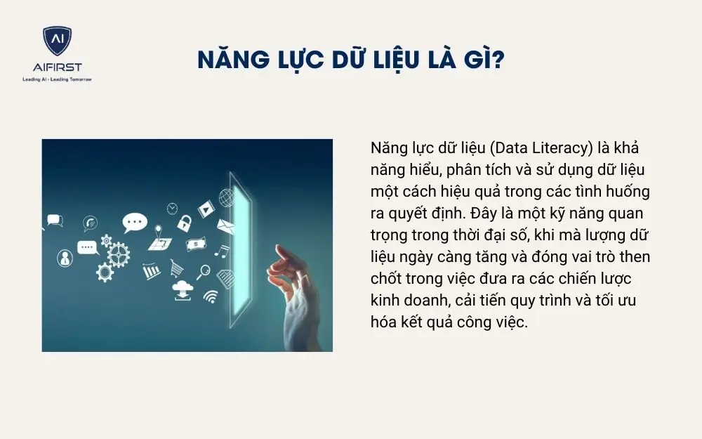 Năng lực dữ liệu là gì?