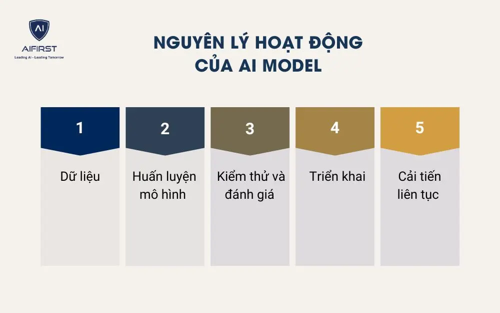 Nguyên lý hoạt động của AI model