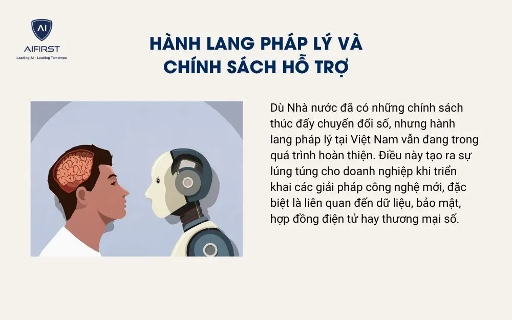 Hành lang pháp lý và chính sách hỗ trợ