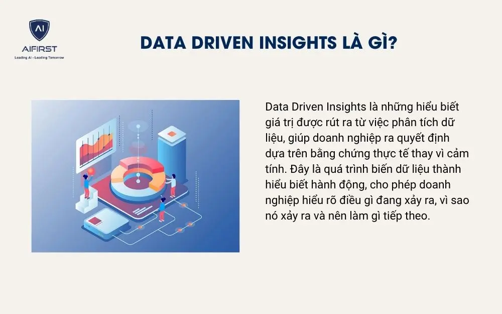 Data Driven Insights l&agrave; g&igrave;?