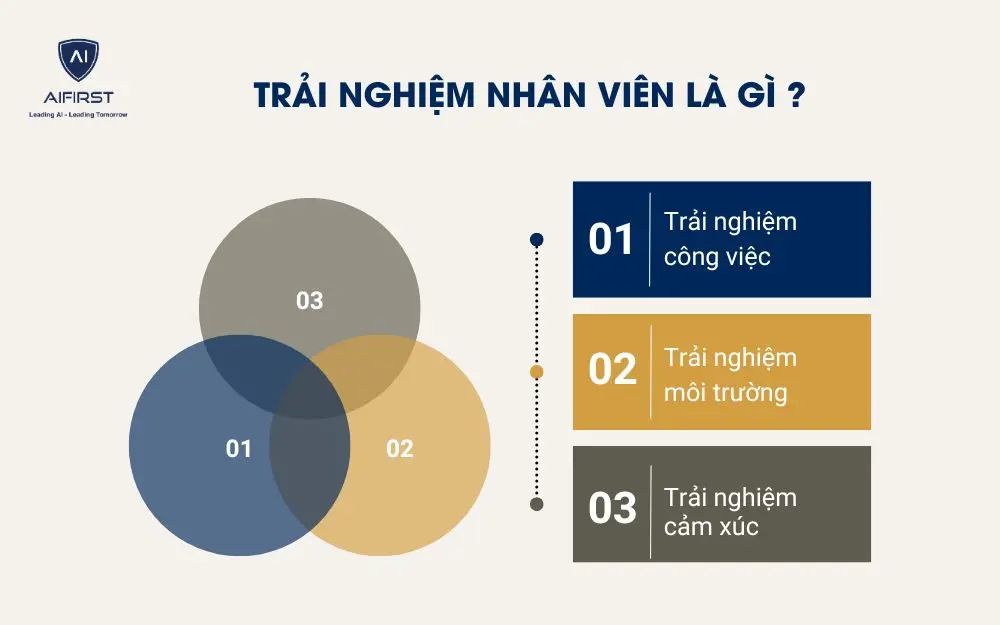 Ba yếu tố ch&iacute;nh cấu th&agrave;nh trải nghiệm nh&acirc;n vi&ecirc;n