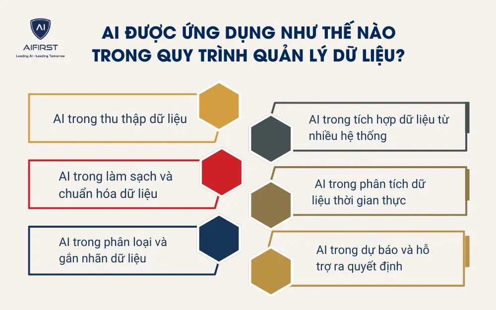AI được ứng dụng như thế n&agrave;o trong quy tr&igrave;nh quản l&yacute; dữ liệu?&nbsp;