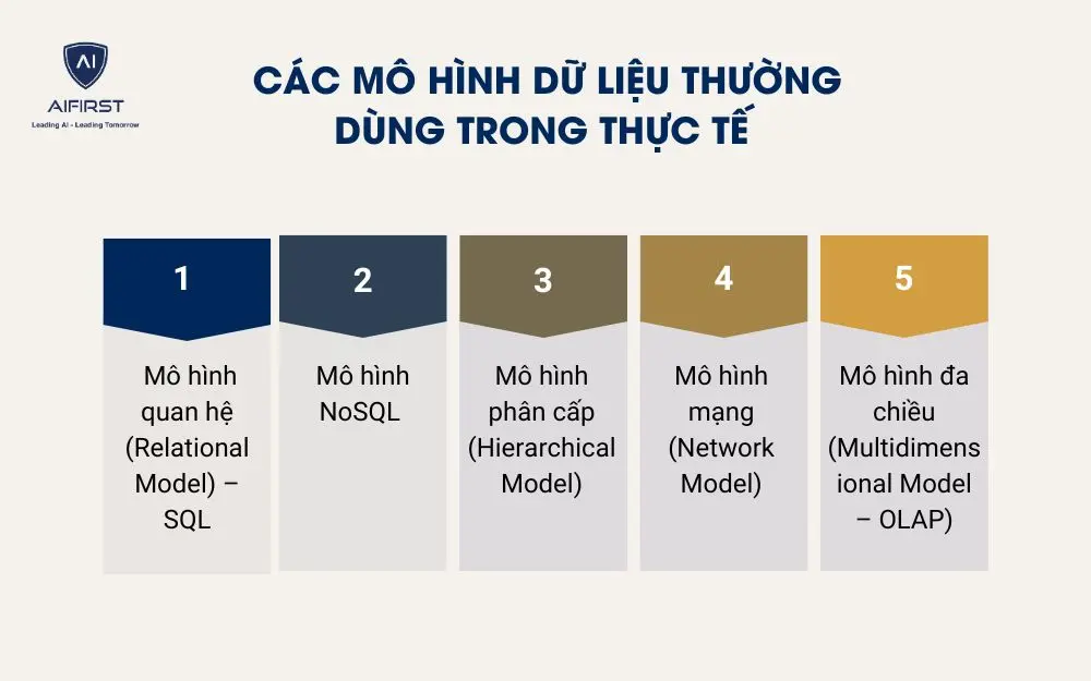 Các mô hình dữ liệu thường dùng trong thực tế