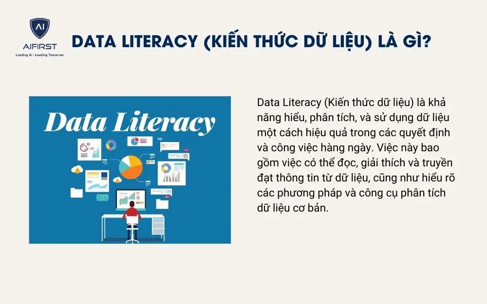 Data Literacy (Kiến thức dữ liệu) l&agrave; g&igrave;?