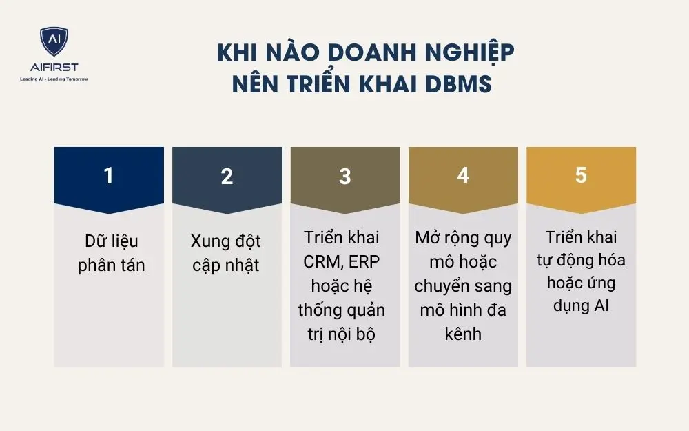 Khi n&agrave;o doanh nghiệp n&ecirc;n triển khai DBMS
