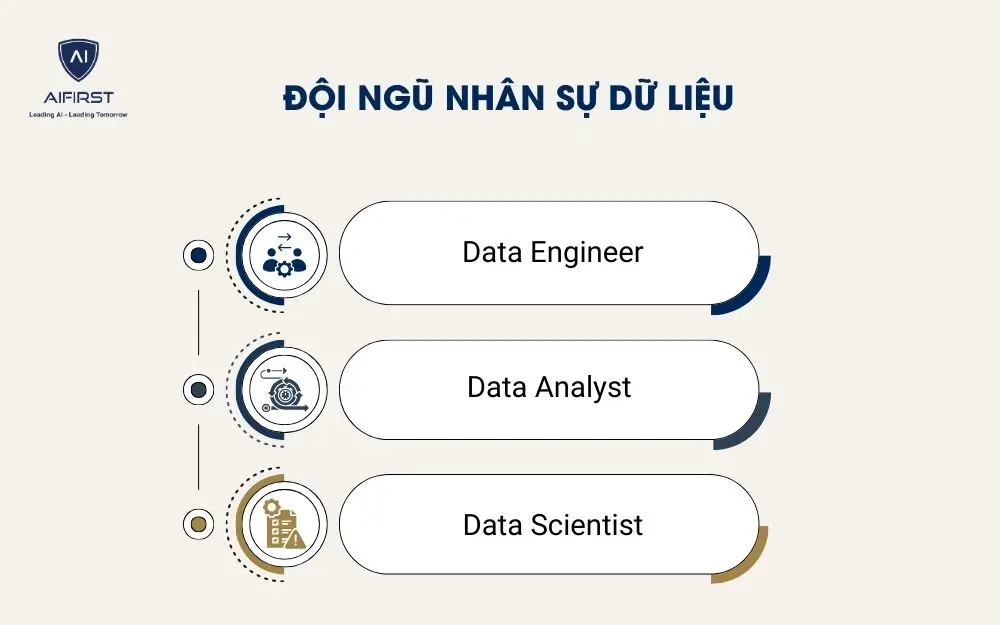Đội ngũ nh&acirc;n sự dữ liệu