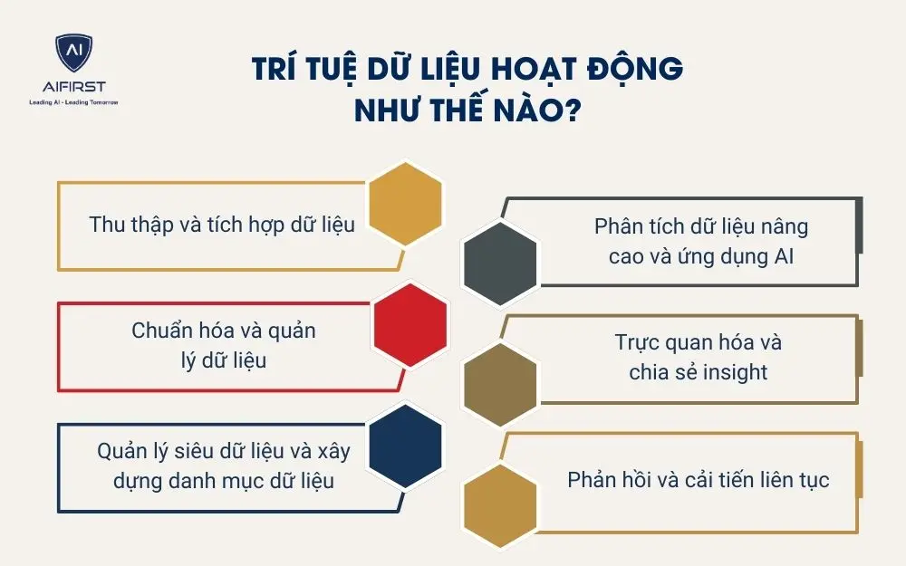 Tr&iacute; tuệ dữ liệu hoạt động như thế n&agrave;o?