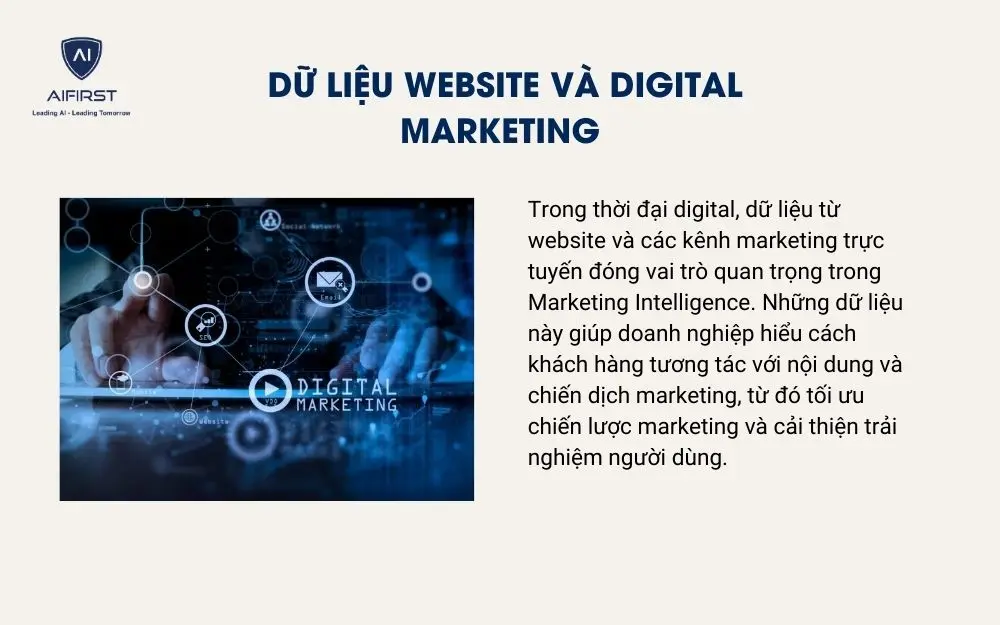 Dữ liệu website v&agrave; digital marketing