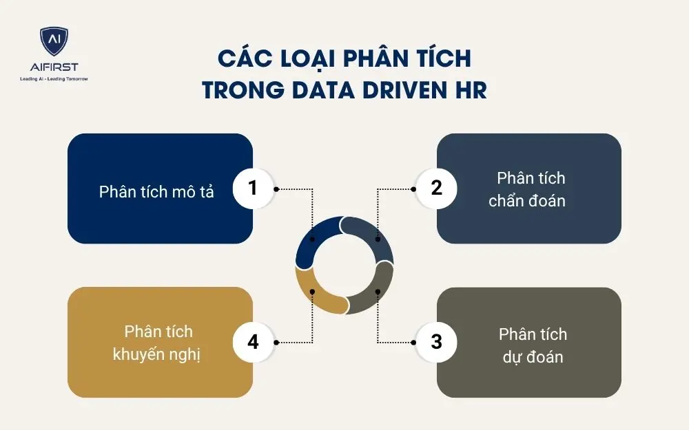 C&aacute;c loại ph&acirc;n t&iacute;ch trong Data Driven HR