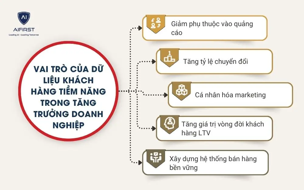 Vai tr&ograve; của dữ liệu kh&aacute;ch h&agrave;ng tiềm năng trong tăng trưởng doanh nghiệp