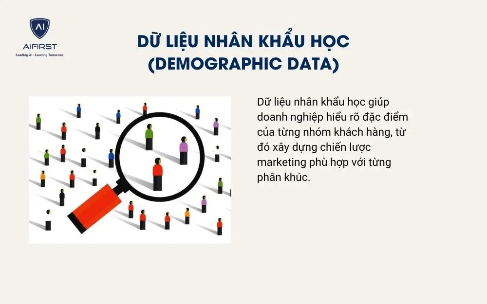 Dữ liệu nh&acirc;n khẩu học (Demographic Data)
