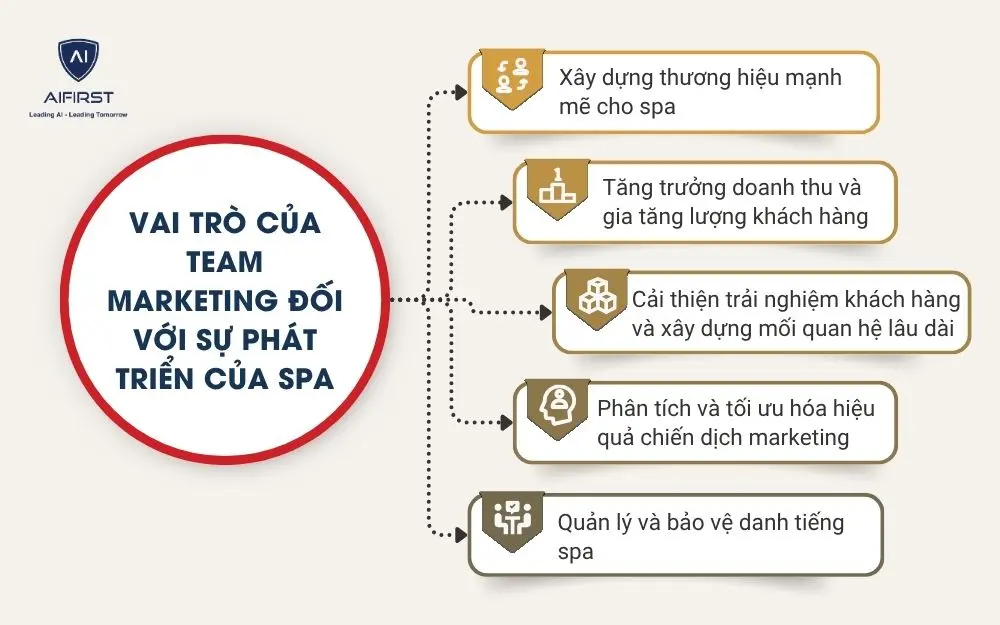 Vai tr&ograve; của team marketing đối với sự ph&aacute;t triển của spa