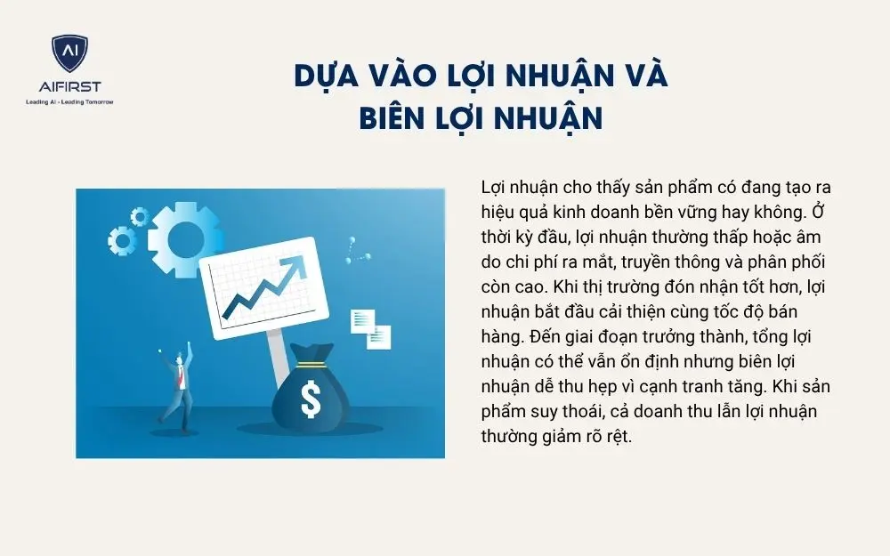 Dựa v&agrave;o lợi nhuận v&agrave; bi&ecirc;n lợi nhuận