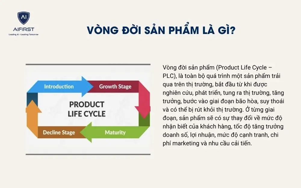V&ograve;ng đời sản phẩm l&agrave; g&igrave;?&nbsp;