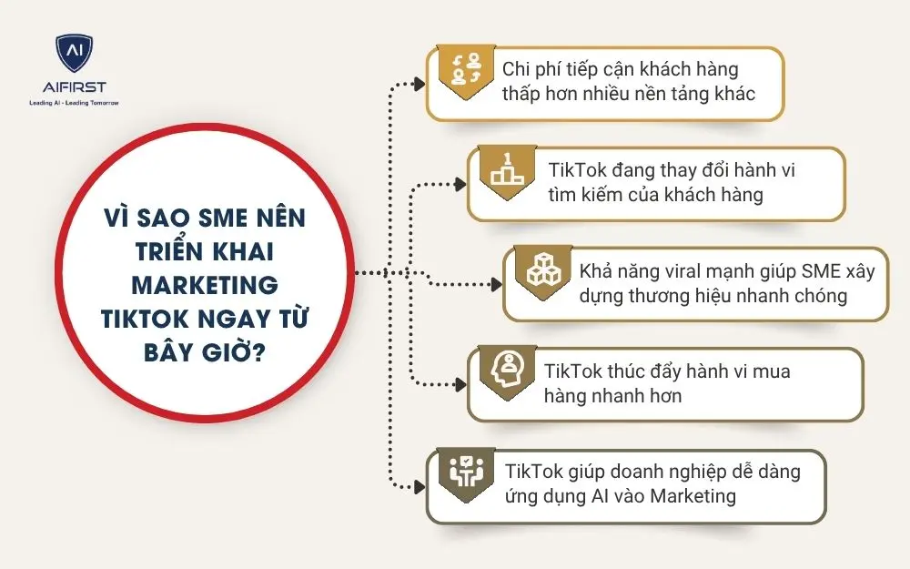 V&igrave; sao SME n&ecirc;n triển khai Marketing TikTok ngay từ b&acirc;y giờ?