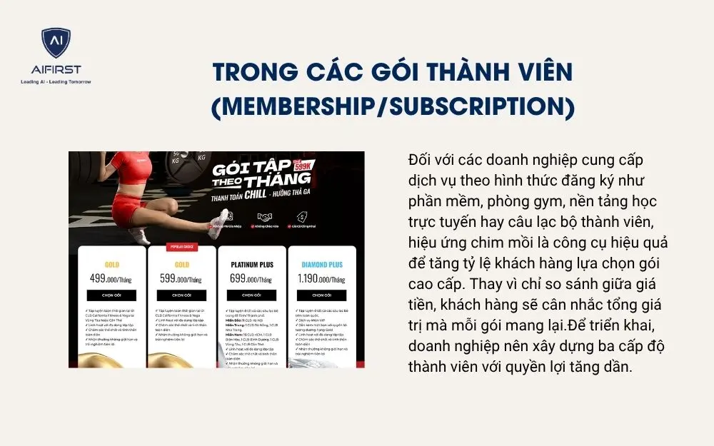 Trong c&aacute;c g&oacute;i th&agrave;nh vi&ecirc;n