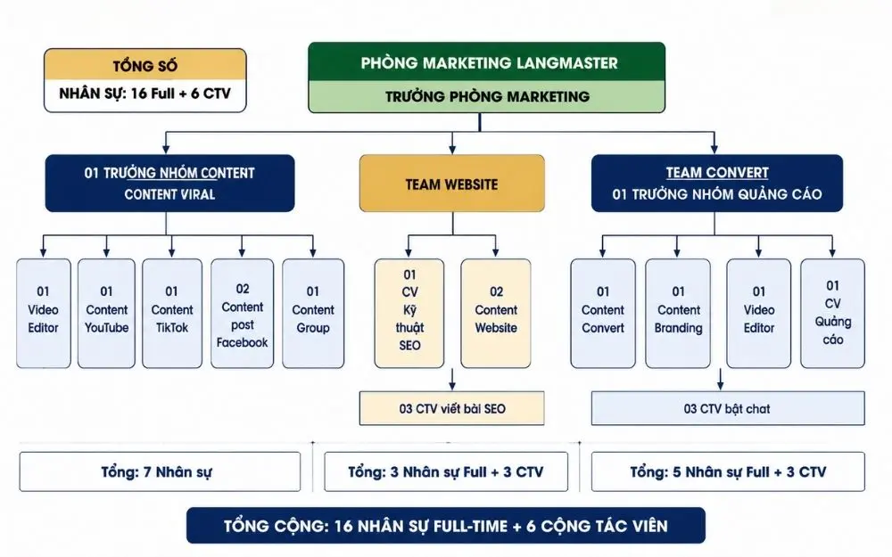 V&iacute; dụ sơ đồ tổ chức ph&ograve;ng marketing trung t&acirc;m tiếng anh
