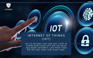 Internet of Things (IoT)