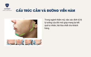  Cấu trúc cằm và đường viền hàm