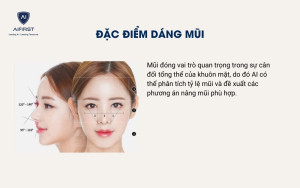 Đặc điểm dáng mũi