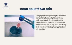 Công nghệ tế bào gốc